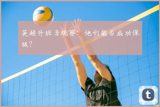 英超升班马观察：他们能否成功保级？