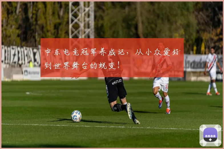 中东电竞冠军养成记，从小众爱好到世界舞台的蜕变！
